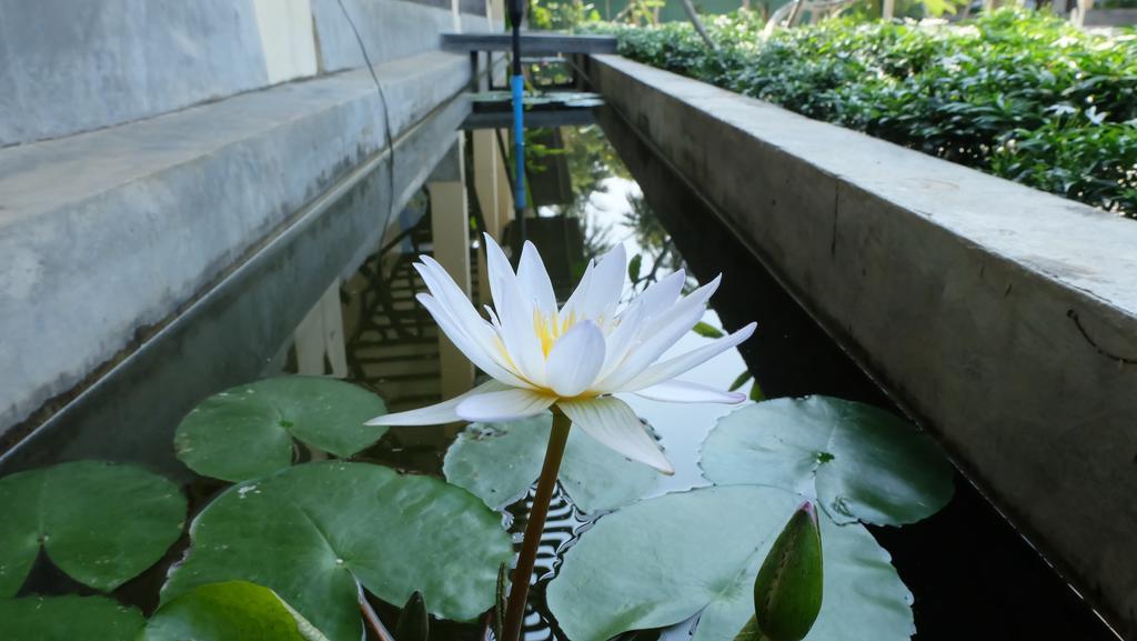 Lullaby Boutique Resort Thap Sakae Exteriör bild